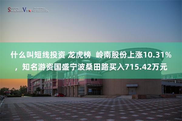 什么叫短线投资 龙虎榜  岭南股份上涨10.31%，知名游资国盛宁波桑田路买入715.42万元