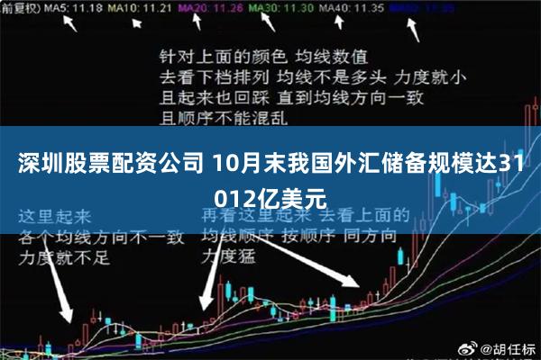 深圳股票配资公司 10月末我国外汇储备规模达31012亿美元