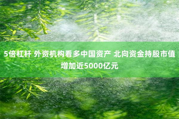 5倍杠杆 外资机构看多中国资产 北向资金持股市值增加近5000亿元