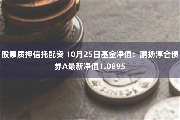 股票质押信托配资 10月25日基金净值：鹏扬淳合债券A最新净值1.0895