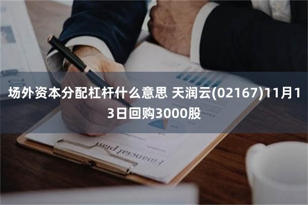 场外资本分配杠杆什么意思 天润云(02167)11月13日回购3000股