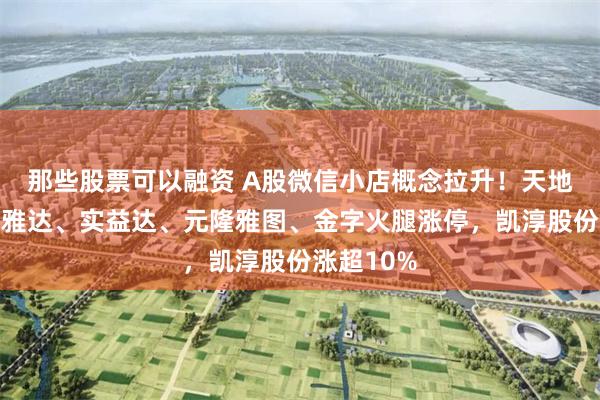 那些股票可以融资 A股微信小店概念拉升！天地在线、信雅达、实益达、元隆雅图、金字火腿涨停，凯淳股份涨超10%