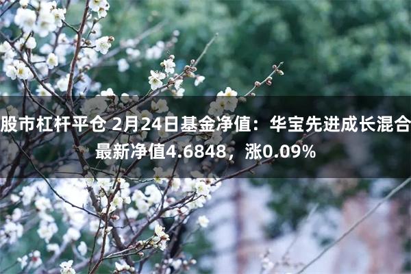 股市杠杆平仓 2月24日基金净值：华宝先进成长混合最新净值4.6848，涨0.09%